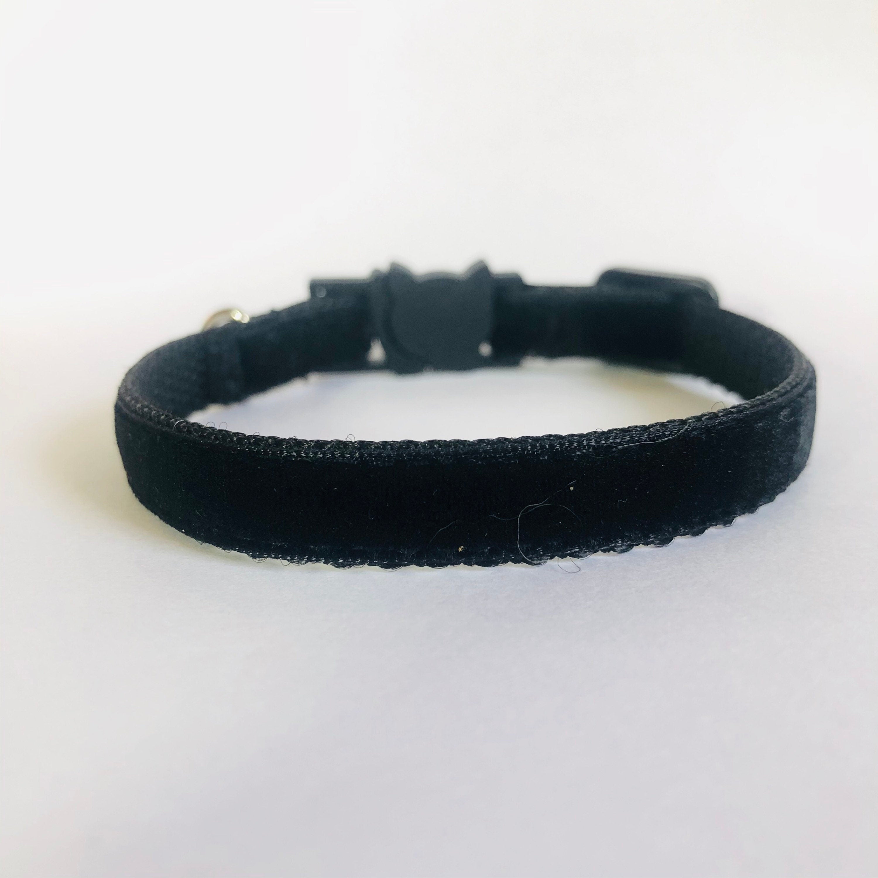 Black velvet cat collar on a white background