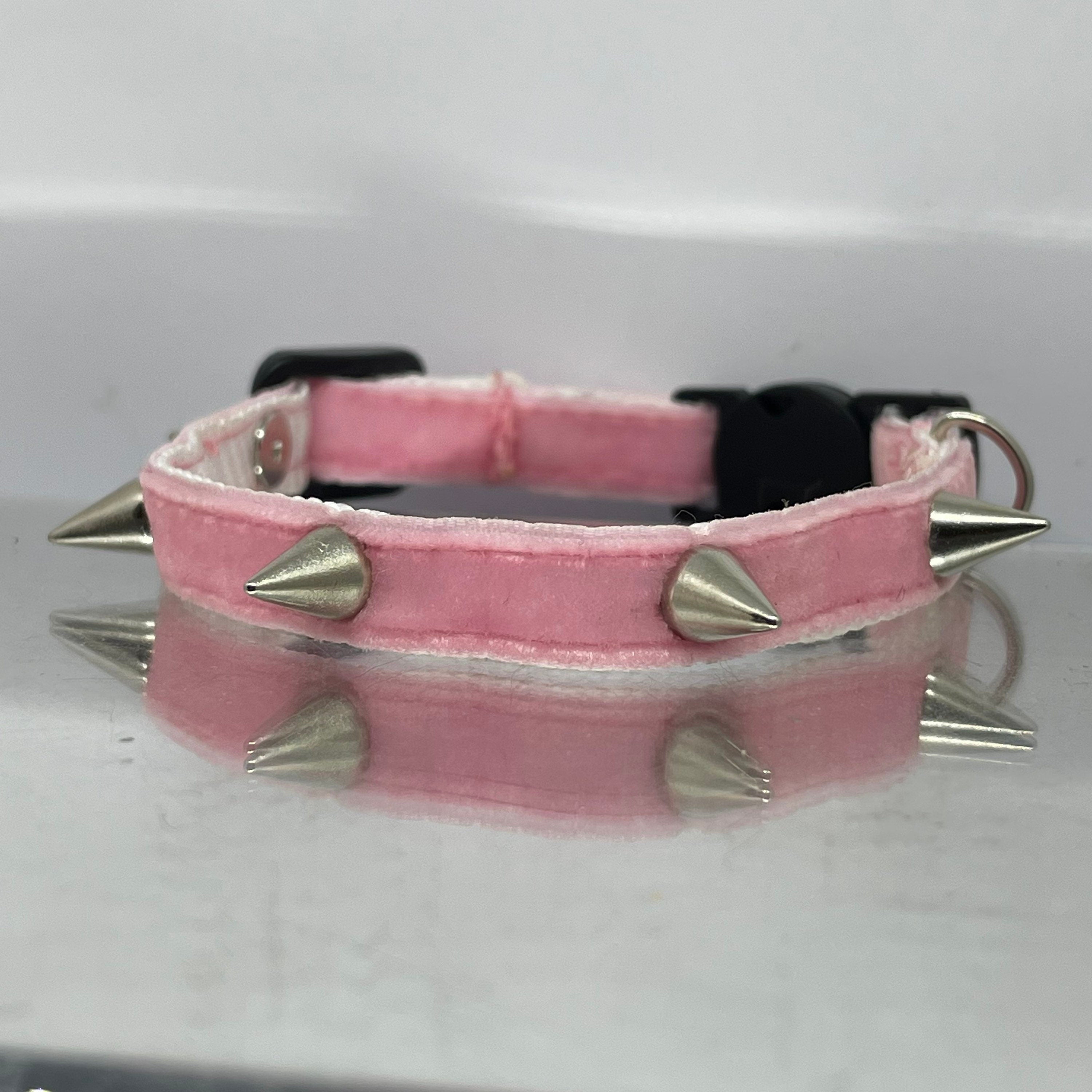 Samtrosa Katzenhalsband mit Nieten und Sicherheitsverschluss – Rock-Kitty-Style für wilde Katzen!