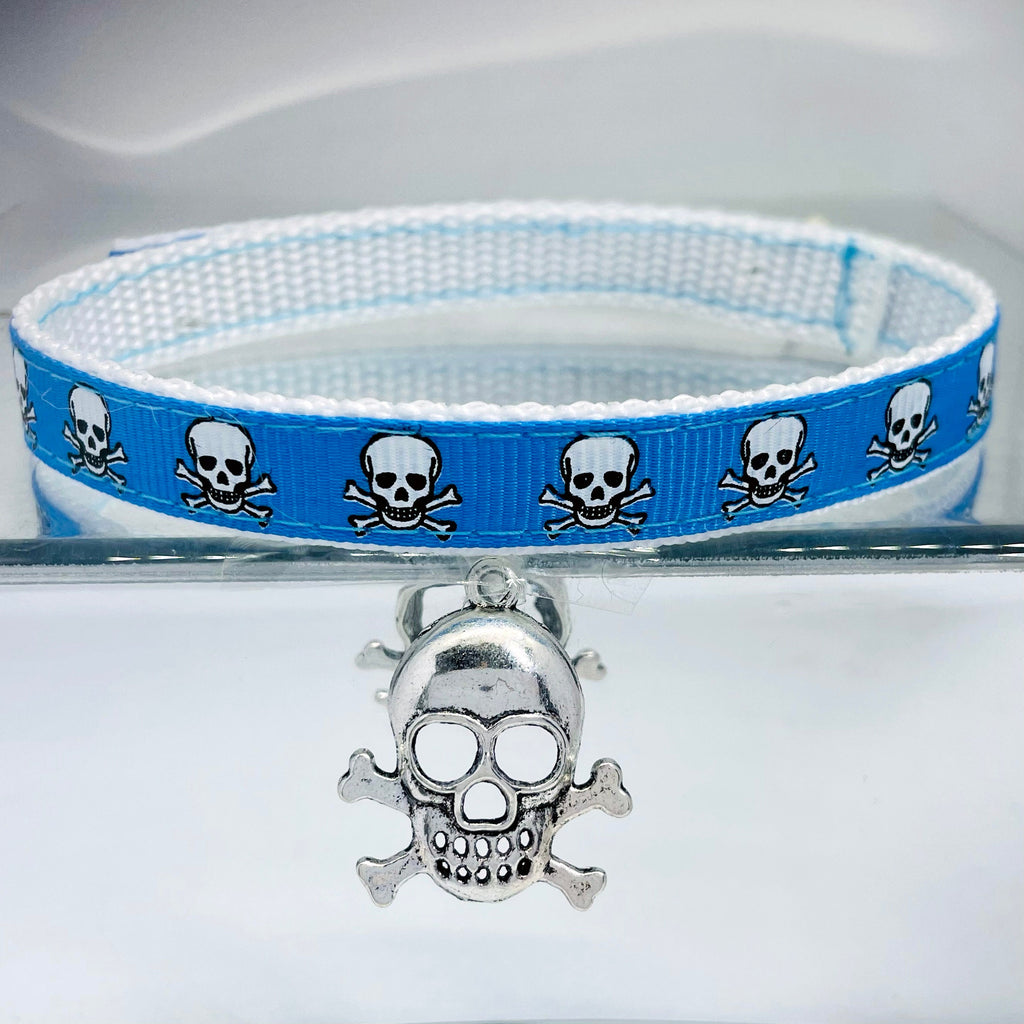 Blue Cat Collar with skull patterns and a silver skull charm on a white background