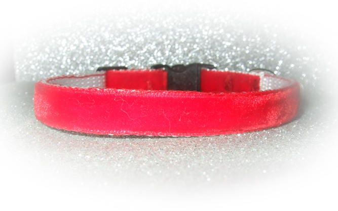 Red cat collar with a black buckle on a white background