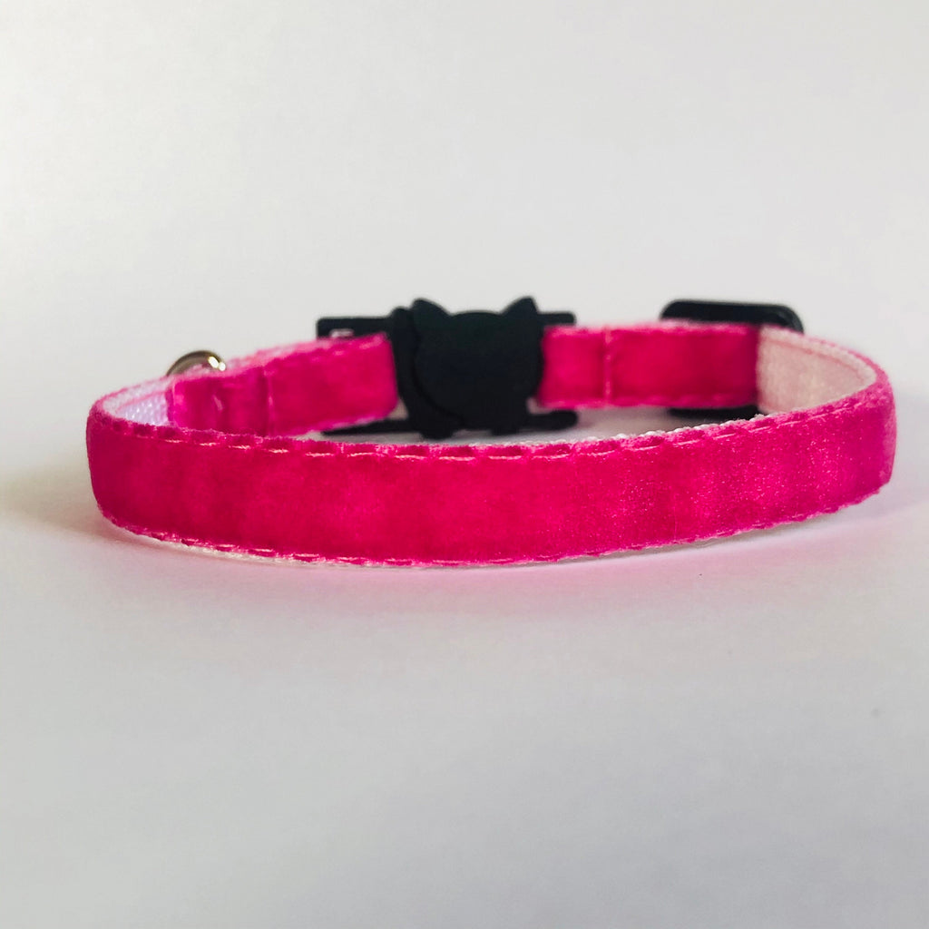 Pink collar with a black buckle on a light gray background