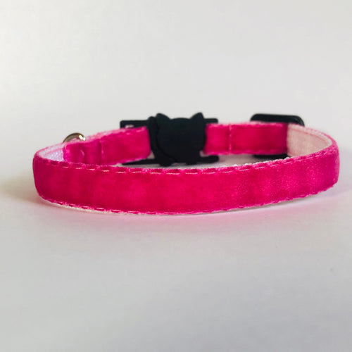 Pink collar with a black buckle on a light gray background