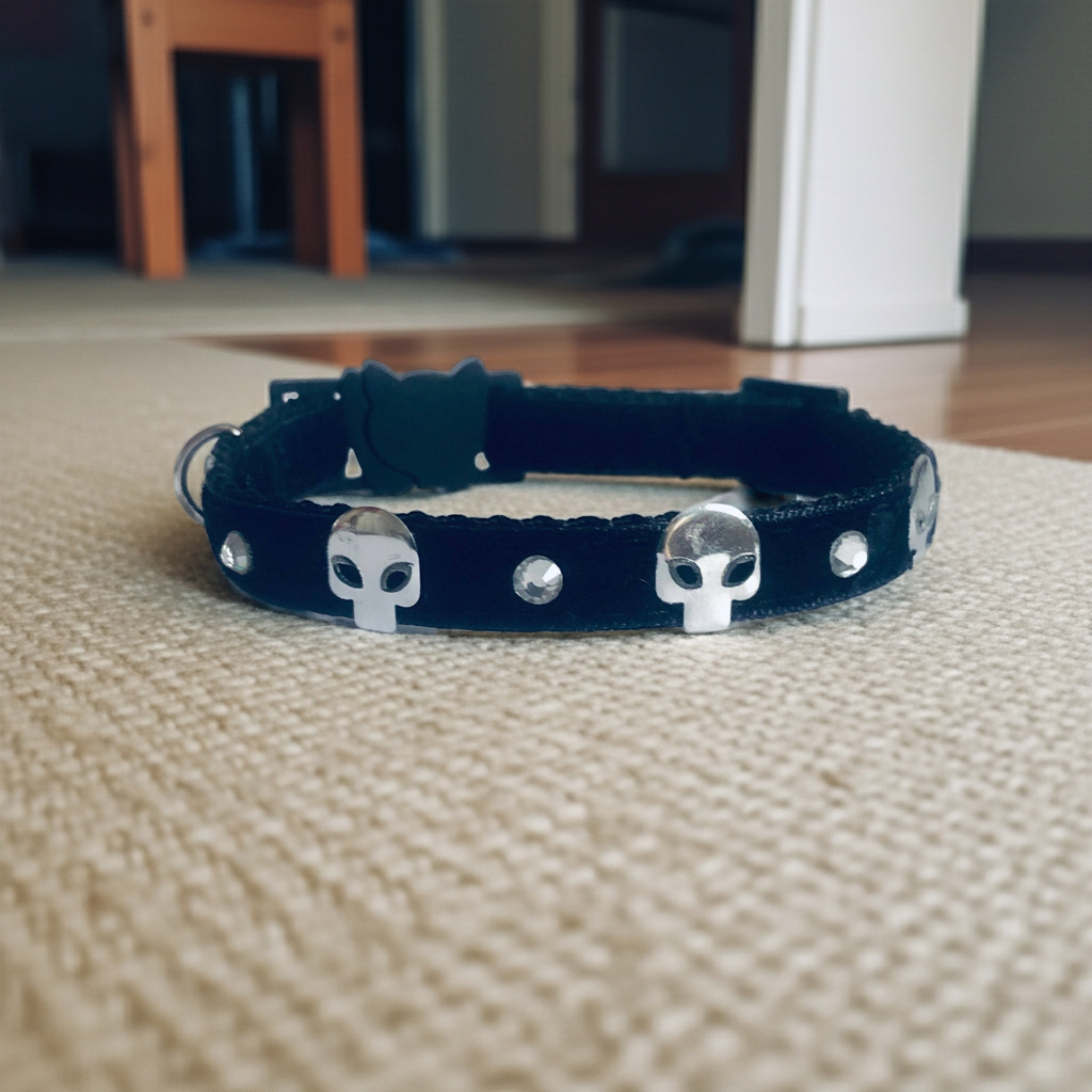 Black Velvet Cat collar with skull designs on a beige carpet