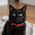 Red Velvet Spiked Cat Collar: Safety Breakaway with Bell