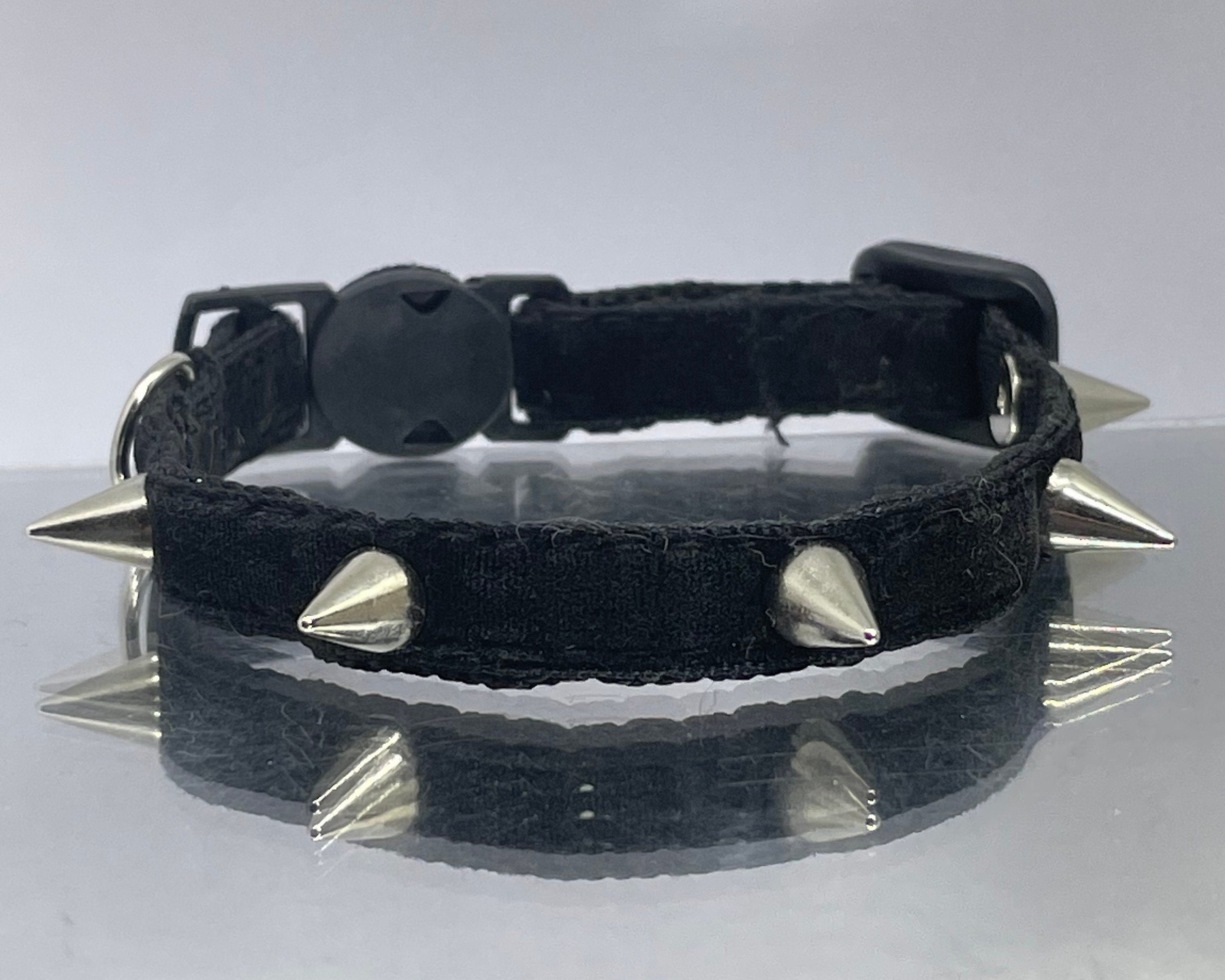 Black collar with silver spikes on a reflective surface