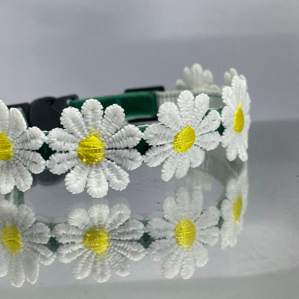 Cat collar with white daisy flowers and yellow centers on a gray background