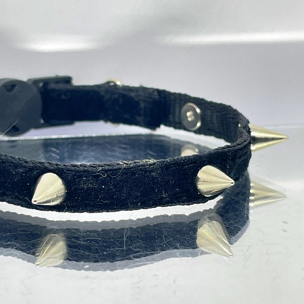 Black collar with silver spikes on a reflective surface