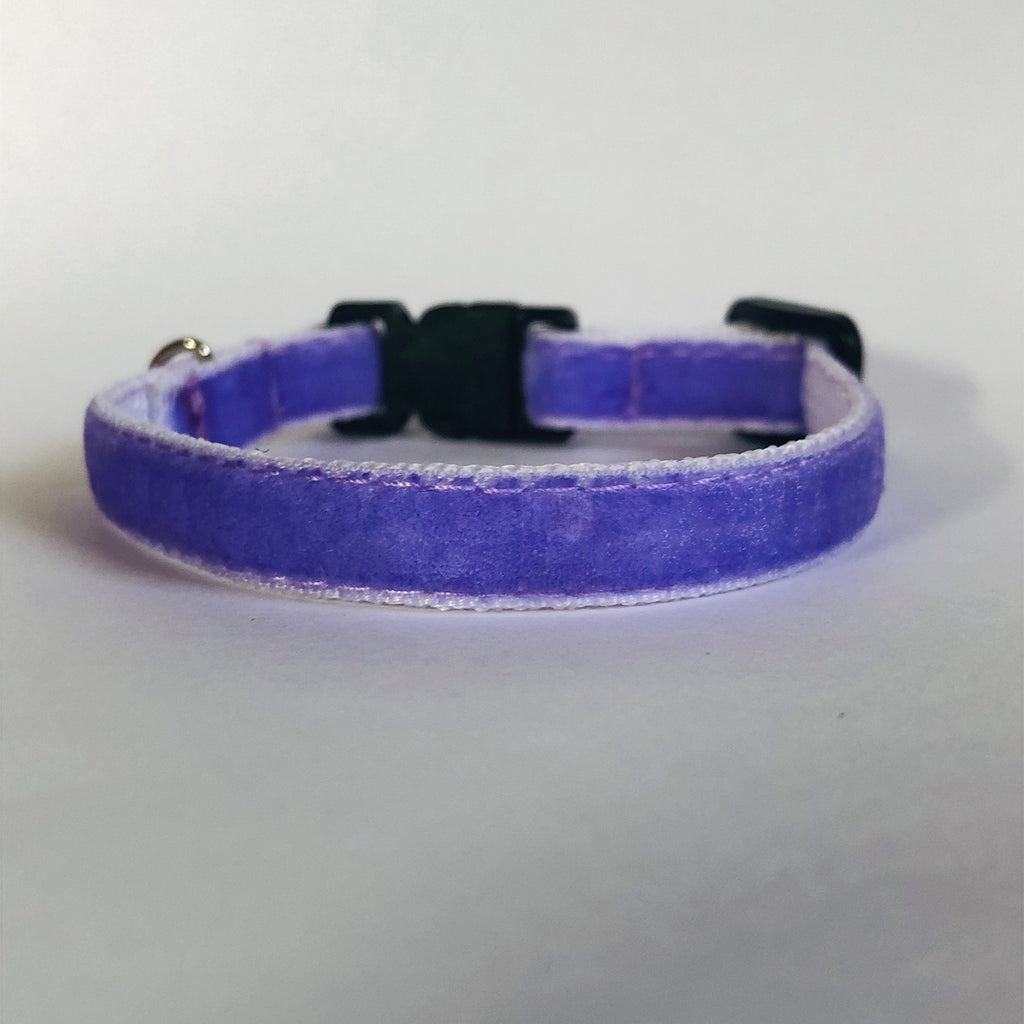 Purple cat collar with a black buckle on a light gray background