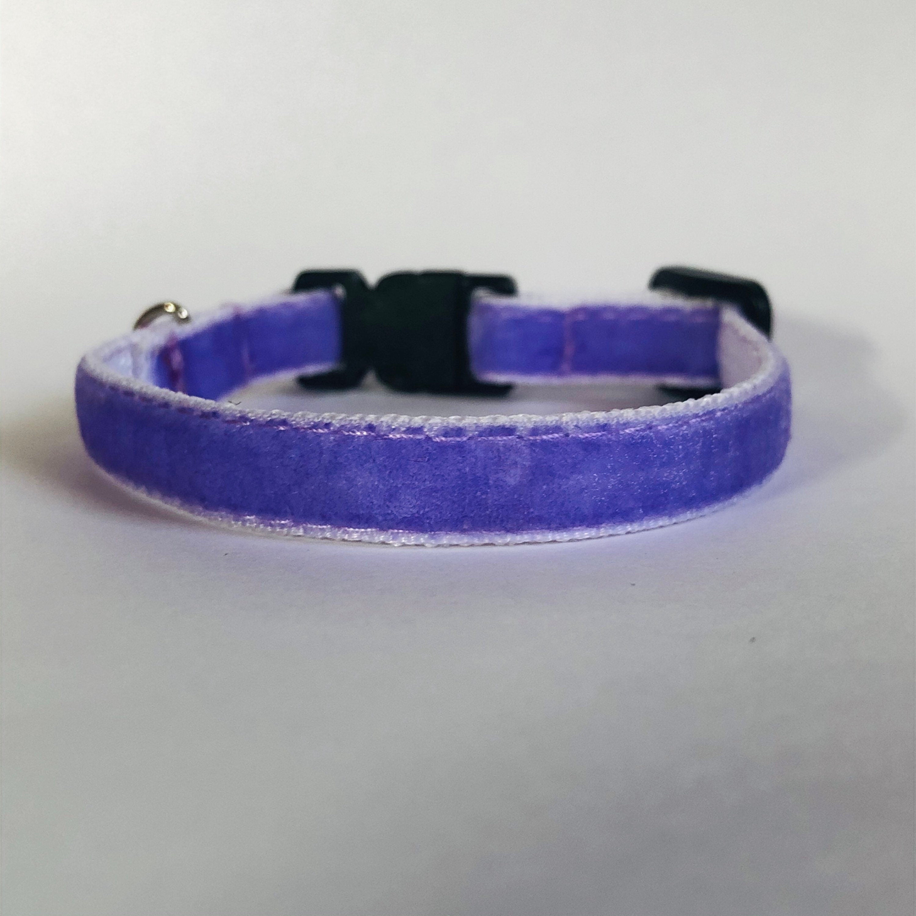 Purple cat collar with a black buckle on a light gray background