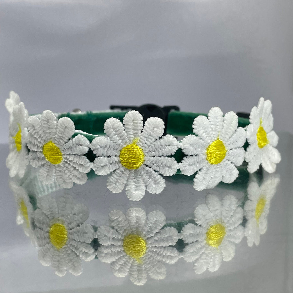 Green cat collar with white daisy flowers and yellow centres on a gray background