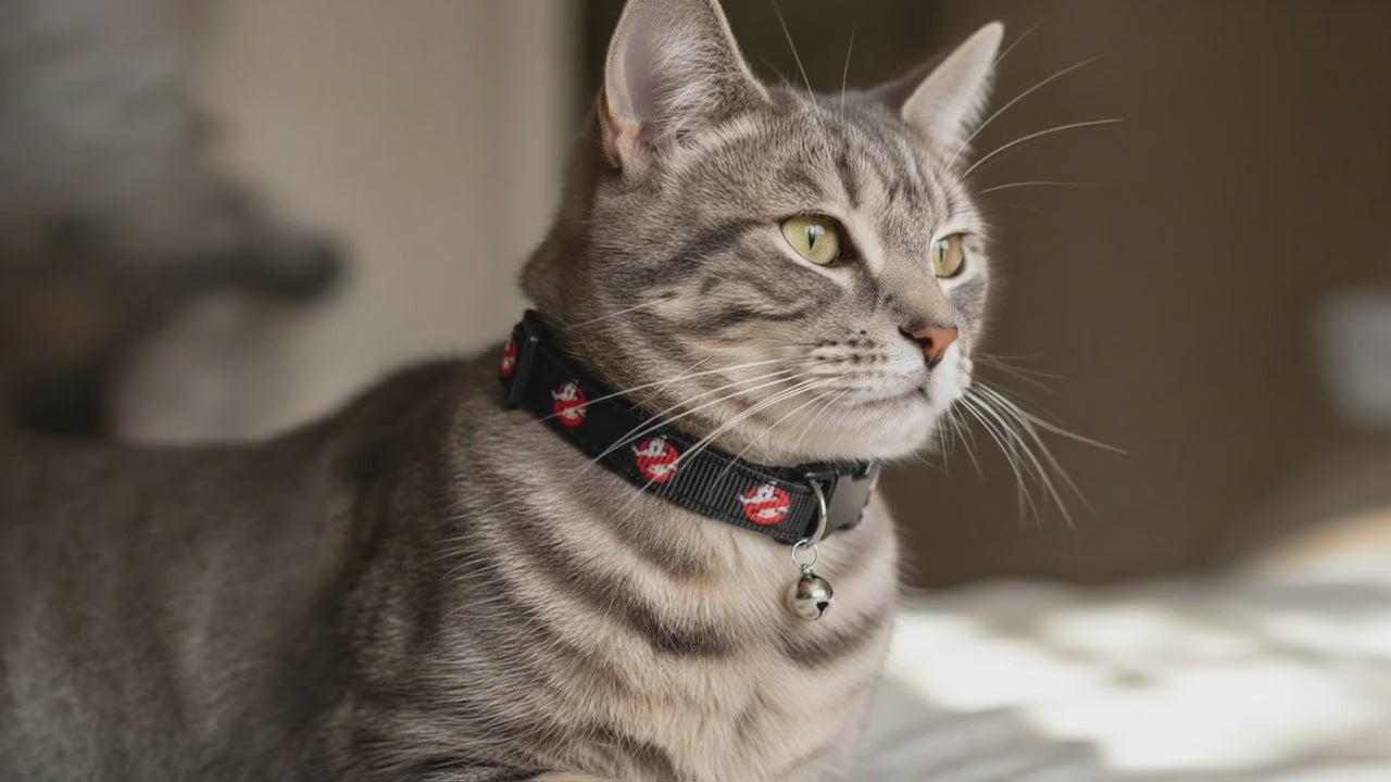 Ghostbusters Safety Breakaway Cat Collar and Bell